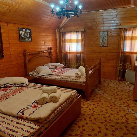 Complex Turcana Transalpina Şugag エクステリア 写真